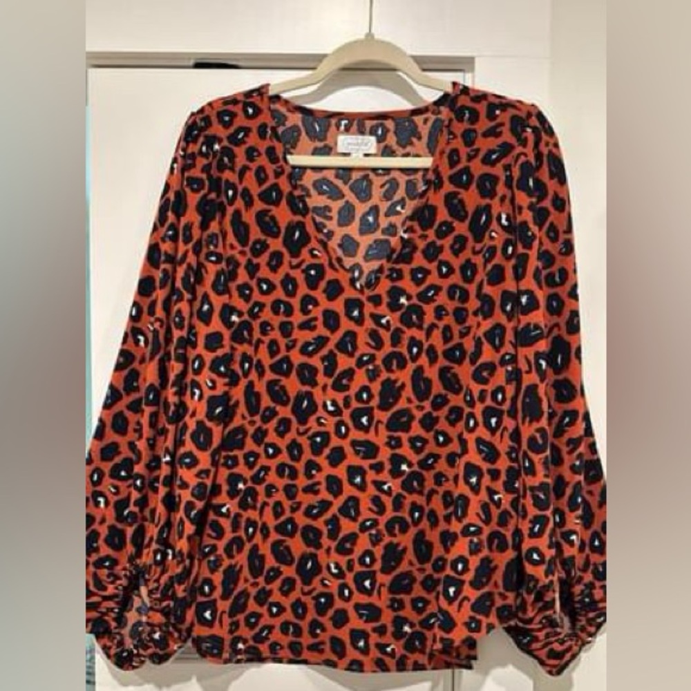 Ladies top